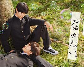 看网站优化方案的制定